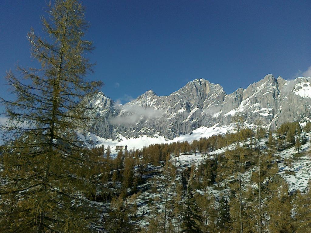 Gloesalm Apartment Ramsau am Dachstein Room photo