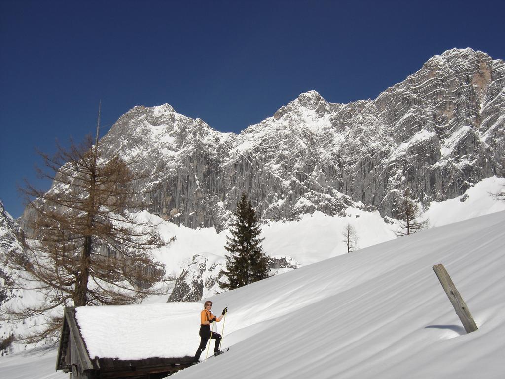 Gloesalm Apartment Ramsau am Dachstein Room photo