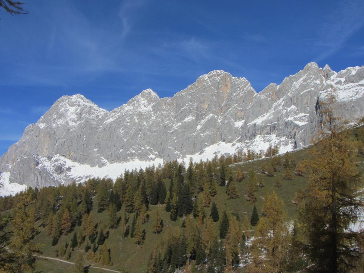 Gloesalm Apartment Ramsau am Dachstein Exterior photo